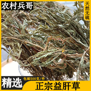 野生无硫软肝草500g农村正品新货晒干益肝草铁甲草中药材干货凉茶