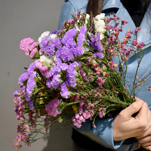 【云南鲜花勿忘我】云南鲜花勿忘我品牌,价格 - 阿里巴巴