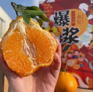 国产精品礼盒装甜四川耙耙柑春见旗舰店当季新鲜水果粑粑柑橘子杷