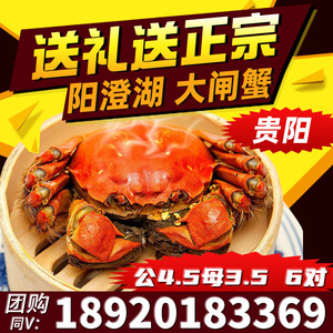 贵阳蟹兴阁大闸蟹鲜活中秋团购礼品螃蟹水产礼盒6对公4.5母3.