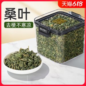 净口密封罐桑叶茶霜后冬嫩桑树叶桑葚槡桑树泡水喝搭配玉米须