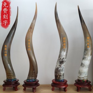 天然白牛角创意摆件风水招财纯手工居家艺术品办公室酒吧招揽生意