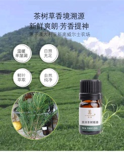 IN SOSIANZA现淳澳洲茶树精油5ML清爽净痘