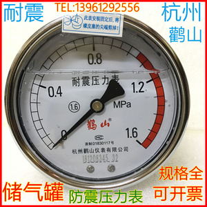 杭州鹳山仪表有限公司YN-100Z耐震压力表储气罐防震耐振防水鹤山