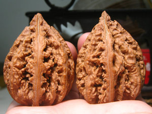 包邮文玩核桃精品楸子东北野生大粗筋秋子塔尖编号j6-2