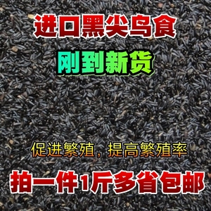 鸟食黑尖粟尼日尔草籽提性鸣叫玉鸟芙蓉鸟金青大金黄麻料鸟粮白尖