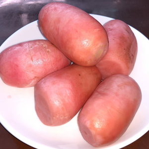 凤城大姐酸萝卜四川泡菜农家自制老坛酸菜开胃恩施特产孕妇下饭菜