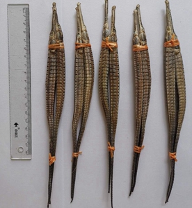 自晒六角海龙干货海宝骨痛泡酒料滋补煲汤料料1条3克长25厘米