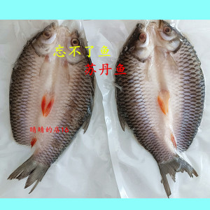 马来西亚忘不了鱼苏丹鱼350g腌制开背冷冻水产淡水鱼5份21省包邮