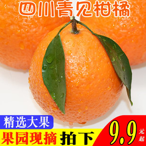 青见柑橘 9斤当季水果新鲜橘子四川沃丑柑桔子应季时令整箱包邮5