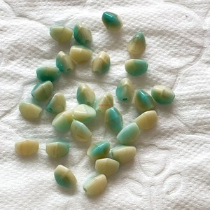 231969国国淘宝海南特色庭院春四季四角豆种籽四棱豆种子杨桃豆翼豆