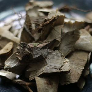 臭子根苍山子根臭枳柴山草木肉类煲汤