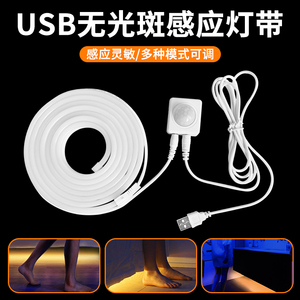 USB多功能人体感应无光斑灯带可调亮度时间光感床底充电酒厨柜灯