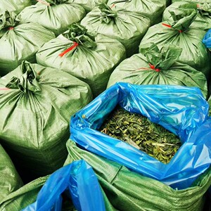 牛马羊驴草料1吨 牧草 玉米杆 甘蔗叶 牛羊发酵草料 青贮草料