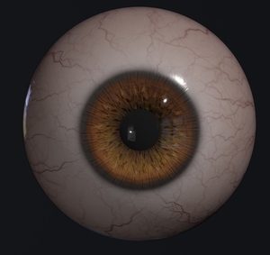 751人付款淘宝blender写实眼球眼珠眼睛3d模型渲染objjianmofbx素材