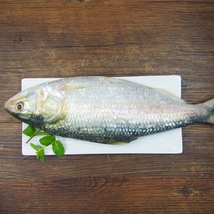 002人付款天猫网红陶瓷纯白大号长方长江白鱼鲥鱼翘嘴白条专用盘子