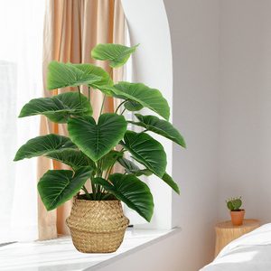 仿真绿植盆栽室内客厅装饰小盆景摆件仿生植物旅人蕉龟背假花假树