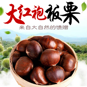 5斤送二两装天目山脉广德大红袍板栗毛栗农家现摘野生大栗子包邮