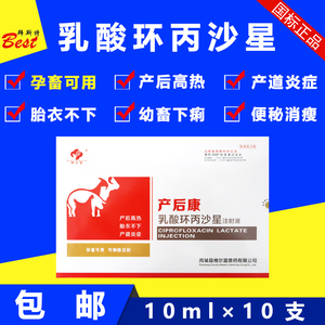 乳酸环丙沙星注射液