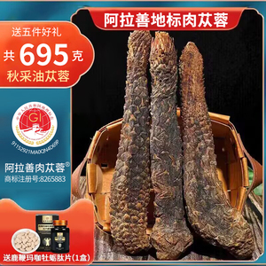 肉苁蓉整根阿拉善内蒙古苁蓉非特级锁阳非野生淫羊藿泡酒中草药材