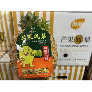 【顺丰】芒果凤梨 树上熟 非金钻凤梨菠萝  香甜多汁 新鲜水果