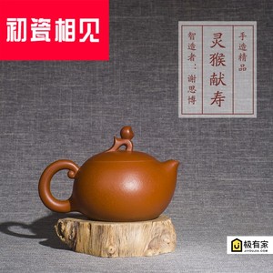 潮州谢华朱泥壶