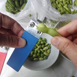 剥毛豆机器剥毛豆机小型家用神器去毛豆壳青豆豌豆拨壳去皮机壳包