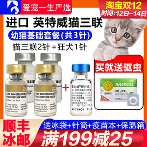 荷兰英特威猫三联3联进口疫苗小猫幼猫鼻支猫瘟2针加1狂犬预防针