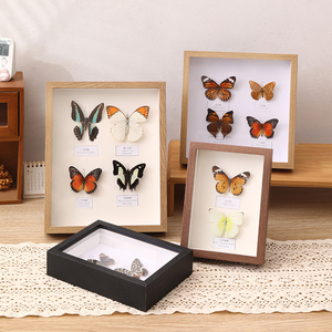 中空相框摆台手工diy蝴蝶a4昆虫标本盒立体框干花保存展示框画框