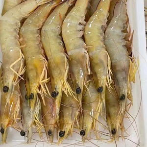 野生超大明虾新鲜鲜活速冻对虾基围虾花虾竹节虾海虾深海顺丰包邮
