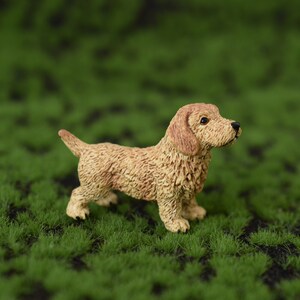 000人付款天猫出售小型腊肠犬 纯种铁包金活体德国腊肠狗 短毛腊肠