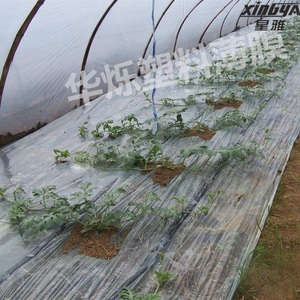 地膜农用白膜西瓜膜秧苗膜加厚种植小拱棚保温薄膜纸塑料布大棚膜