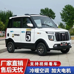 电动四轮车新能源家用老头乐成人纯油电两用汽车接送孩子女士代步