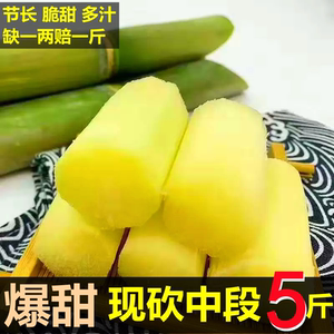 现砍青皮土甘蔗四川水果5斤农产品包邮非广西红陶山甘蔗新鲜整捆