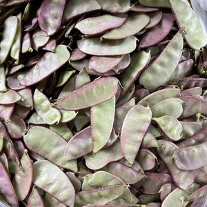 000人付款淘宝紫扁豆新鲜湖北农家露天时令蔬菜紫扁豆