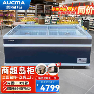 澳柯玛冰柜（AUCMA）展示柜冰柜商用大容量卧式岛柜冷冻柜超市玻