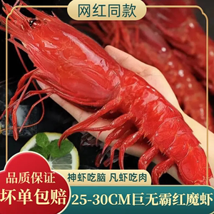红魔虾刺身超大鲜活海鳌虾生吃刺身海鲜水产大虾鲜活超大北极甜虾