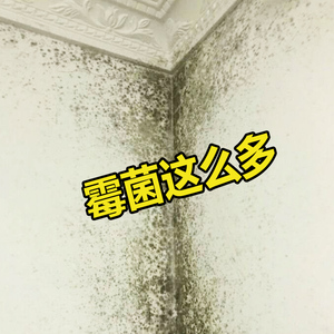 除霉剂墙体墙面去霉斑霉菌清洁剂防霉喷雾墙壁去霉发霉神器清除剂