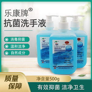 乐康牌家用抑菌洗手液 消毒液500ml洁肤柔男女通用抗菌酒精洗手液