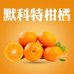 默科特橘子简介图片