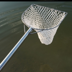 抓鸡神器摘果网兜一体特大号大物操网抄网杆捞鱼网伸缩杆抓鱼捕鱼