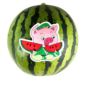 新款卡通西瓜标签麒麟瓜标贴纸自粘不干胶水果店超市通用商标果贴