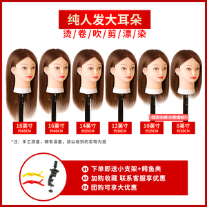 假发 头模美发模具头全真发棕 黑色 模特头专用支架理发模型练习