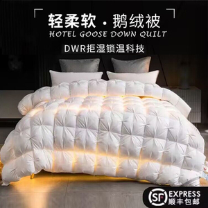 波司登02联名羽绒被95白鹅绒冬被子单人酒店春秋被芯冬季加厚保暖