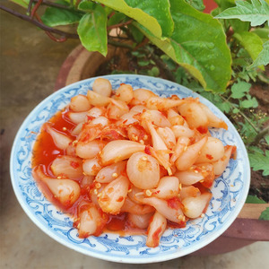 腌藠头荞头云南临沧特产下饭菜老坛咸菜炒菜500克满5袋包邮