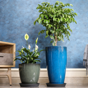 花盆深高盆加仑盆大口径控根盆高款月季高脚多肉盆养花家用高腰