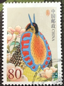 普31 中国鸟黄腹角雉信销散票( 80分 )随机普通邮票