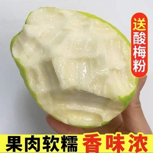 广东软心番石榴白心3/5斤新鲜水果软糯香甜奶油台湾翡翠芭乐果