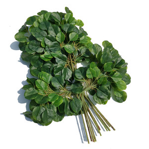 金钱叶雪梨树叶树枝工程大树绿叶绿化造景插树仿真假绿植假圆桐叶