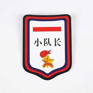 小学生袖章少先队标志标牌小中大队长 一二三道杠中大队委error